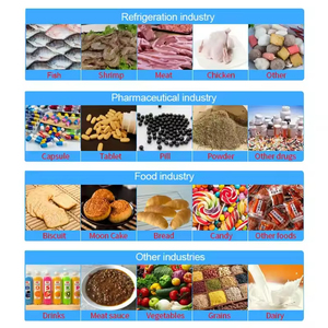 Металлоискатель для пищевой промышленности: для соусов, пельменей, замороженной рыбы - Product Image 4