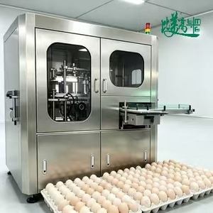 Máquina de Escaneo Visual de Huevos Todo en Uno con Detección de Grietas para Empresas de Empacado de Huevos Grandes - Product Image 1