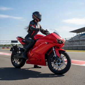 Motocicleta Deportiva Eléctrica de Alta Velocidad de 72V en Stock, Popular en Rusia, de Gran Tamaño, Convertida de Gasolina a Eléctrica - Product Image 1