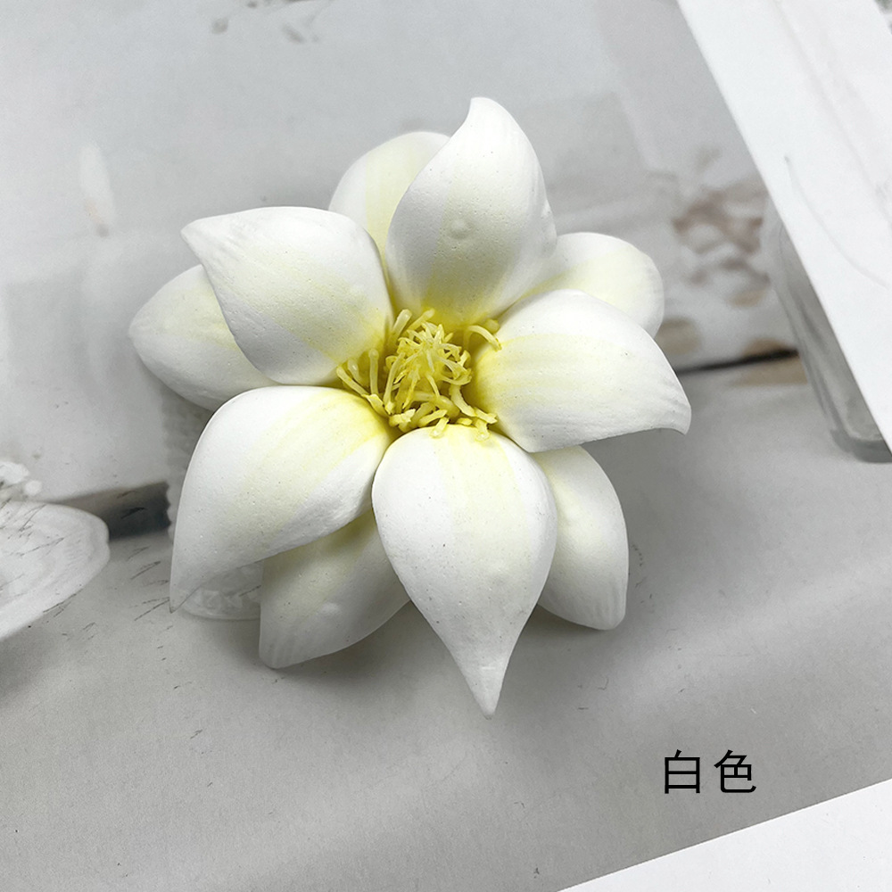 สองชั้น - สีขาว