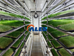 Ligne de production de germination facile à utiliser, bac de germination de céréales, grande capacité, machine à fourrage hydroponique - Product Image 3