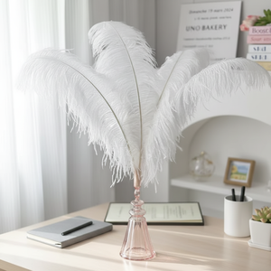 Vente en gros 24-26 pouces Grandes plumes d'autruche blanches Festival de carnaval 60-65cm Décoration de mariage 15-80cm Teint Fluffy Parties d'autruche - Product Image 1
