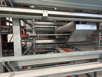 Nouveau système de cages à batterie automatiques de type H en acier galvanisé pour l'élevage commercial professionnel de poules pondeuses, facile à utiliser