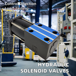 Válvulas de Control Electrohidráulicas Proporcionales Fabricadas en China: EFBG-03/06-125/160-C/H, EDG-01-C, EFBG-03-125-C Hidráulicas - Product Image 1