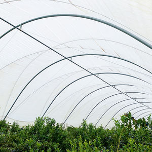 Túnel <span class=keywords><strong>de</strong></span> cultivo UV estabilizado para arándanos australianos, <span class=keywords><strong>de</strong></span> fácil instalación para huertos <span class=keywords><strong>de</strong></span> frutas y bayas. - Product Image 5