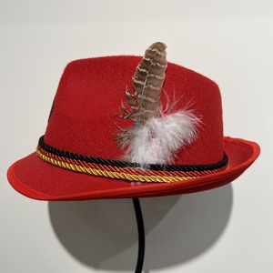 Chapeau paysan gris en feutre style Oktoberfest avec plume, logo personnalisé, pour hommes et femmes, <span class=keywords><strong>costume</strong></span> de fête - Product Image 4
