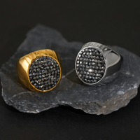 Nouvelle bague vintage Zircon Iced Out 2027 Dazan, nouvelle collection INS, en acier inoxydable plaqué or 18 carats PVD, bijoux unisexe pour défilé de mode
