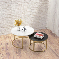 Ensemble de tables basses rondes modernes, tables gigognes, meubles de salon