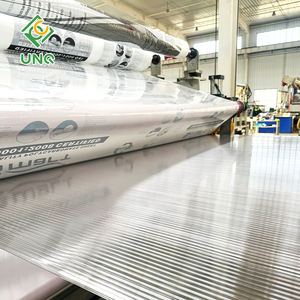 Lámina de <span class=keywords><strong>Policarbonato</strong></span> para Invernadero de Jardín de 3 mm, 8 mm y 10 mm - Product Image 2