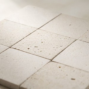Piastrella in Pietra Naturale Calcare Bianca 20x20 a Grana Grossa - Product Image 6
