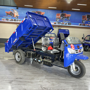 Triciclo Motorizado <span class=keywords><strong>de</strong></span> Alta Calidad con Caja <span class=keywords><strong>de</strong></span> Cambios para Uso Agrícola, Potente Triciclo <span class=keywords><strong>de</strong></span> Carga <span class=keywords><strong>de</strong></span> <span class=keywords><strong>Tres</strong></span> <span class=keywords><strong>Ruedas</strong></span>, Gasolina/Diésel, Ecológico - Product Image 1