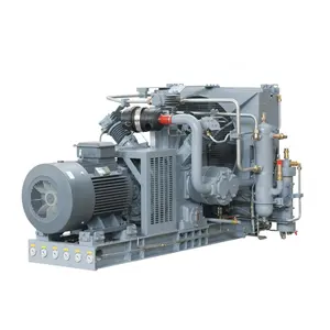 Luchtgekoelde Luchtcompressor 10hp 1hp 1kw Vloeibaar Petroleumgas Kleine Compressor Voor Compressorprijs