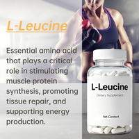 Capsules de L-Leucine en vente chaude OEM, poudre de leucine pour la récupération musculaire des adultes