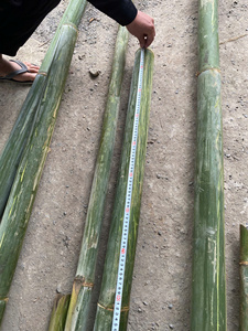 Precio al por mayor: Varillas de bambú para cometas de Vietnam, lamas de bambú de alta calidad, lisas y flexibles para B2B internacional - Product Image 3