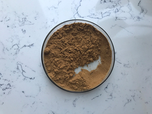 Insen en iyi fiyat satış kikrik asit ekinezya Purpurea özü - Product Image 4