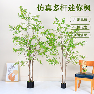 ต้นเมเปิ้ลประดิษฐ์ทรงหลายกิ่ง ดรีม แคสเซิล ขนาด 100-200 ซม. สำหรับตกแต่งภายในและภายนอกอาคาร ต้นบอนไซ - Product Image 1