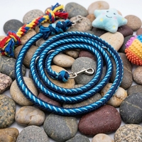 Laisse pour chien en paracorde tressée faite à la main, de luxe, personnalisée, robuste, à deux poignées, mains libres, imperméable, avec nom personnalisé