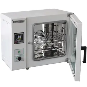 Four de Séchage à Air Chaud, Stérilisateur à Air Chaud, Minéral Chimique, pour Laboratoire Industriel, 25L 54L 81L 138L 252L