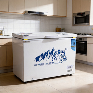 Congélateur coffre de supermarché à double porte, congélateur horizontal <span class=keywords><strong>grande</strong></span> capacité, réfrigérateur commercial pour fruits de mer congelés - Product Image 2