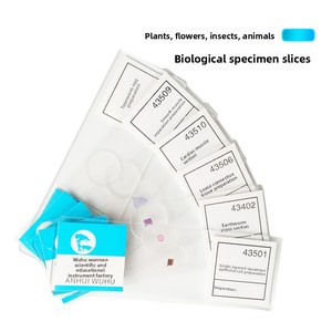 Muestras Biológicas para Microscopio, Set de Portaobjetos, para Estudiantes de Secundaria, Niños, Muestras de Células de Animales y Plantas - Product Image 3