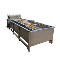 Commerciële volautomatische fruit- en groentereinigingsmachine Roestvrijstalen bubbelozonwasmachine Motor met hoge efficiëntie