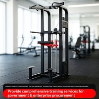 Barras Paralelas y de Dominadas de Acero de Grado Comercial para Gimnasios, Venta Directa de Fábrica para Estudios de Entrenamiento Personal, Entrenamiento de Músculos de la Espalda