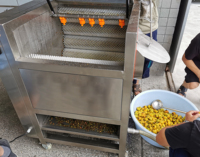 Acheter une machine à laver et à peler le curcuma et le gingembre Acheter une machine à laver et à peler le curcuma et le gingembre Brosse à radis Machine de nettoyage