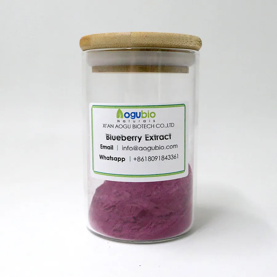 Natural Nature Extract Blueberry Fruit Concentrate Powder Blueberry Powder