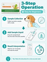 Kit de test rapide jetable pour animaux de compagnie, sachet individuel, ensemble complet avec écouvillon, diluant et carte de test pour chien