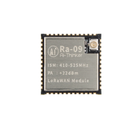 Module à spectre étalé sans fil Ra-09 LoRa WAN avec puce STM32WLE5CCU6 Gamme de fréquences 410-525 MHz