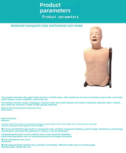Havayolu yönetimi trakeal bakım burun besleme gastrik tüp ekleme için gelişmiş PVC entübasyon eğitim mankeni - Product Image 3
