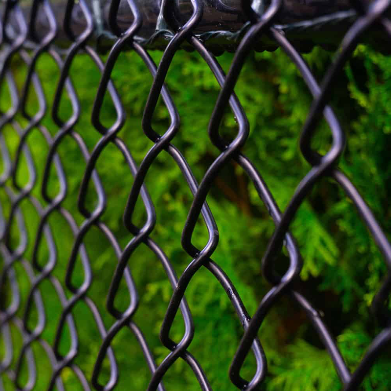 10ft Chain Link Fence 100ft 6ft 8ft Pvc Coated Wire Mesh Galvanized Diamond Custom Specifications for Sale