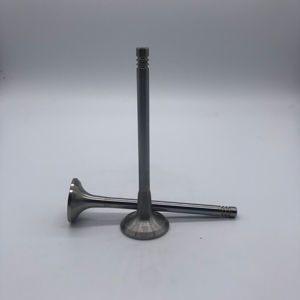 วาล์วไอดีวาล์วเครื่องยนต์ Q7 <span class=keywords><strong>3</strong></span>.0T TDI ดีเซล CAS CRC CDI CRT 03L109611ข้อผิดพลาด - Product Image 2