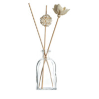 Bouteille en verre transparente vide de 100 ml pour diffuseur à bâtonnets, rechargeable, récipient d'aromathérapie transparent pour huile parfumée d'intérieur, logo personnalisé, OEM
