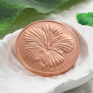 Pièce de collection en cuivre personnalisée en usine, 1 oz, estampillée en cuivre, en relief 3D, souvenir commémoratif - Product Image 3