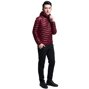 Vente d'usine 2026 FINER THREADS Manteau parka matelassé léger pour homme, respirant, séchage rapide, couleur unie, col montant, haute qualité - Product Image 1