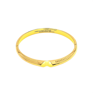 Fashion <b>Bangle</b> 316L Stainless Steel PVD Gold Plating Sustainable Resistant Jewelry Accessory - Product Image 1