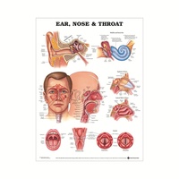 Affiche murale personnalisée en papier écologique, édition de tableau des organes de l'anatomie humaine, pour salle de classe, hôpital, décoration de la maison, sans cadre