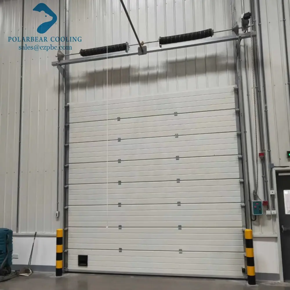 Industriële Sectionaaldeur Automatische Grote Auto Lift Overhead Gemotoriseerde Sectionele Garagedeur