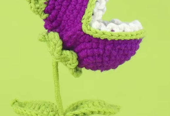 Violet 3