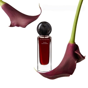 Premium Allure Pure Parfum & Fragrance Spray Notes Boisées Fraîches Longue Durée pour Niche Chambre Parfumée - Product Image 5