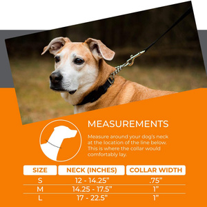 <span class=keywords><strong>Martingale</strong></span> chaîne formation collier de chien limité Cinch chaîne Pet <span class=keywords><strong>Gear</strong></span> pour pas de traction laisse marche - Product Image 6