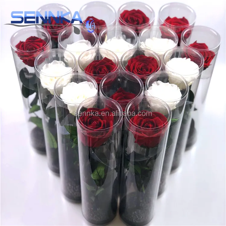 Sennka real natural preserved fresh cut rose with long stem for valentine day gift