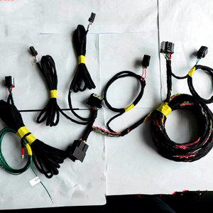 19 Fox Plus B & O パワーアンプハーネス（車用） - Product Image 1