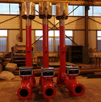 Dispositif d'allumage par torche pour la production de syngaz à partir de déchets plastiques/gaz de combustion