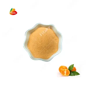 Instant Fruit Juice Orange Juice Drink Powder Orange Flavor Powder Orange Fruit Powder