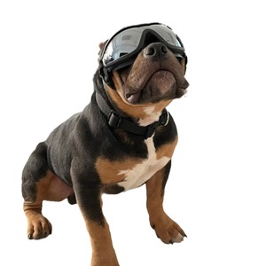 Occhiali Protettivi per Cani, Antivento, per Sport all'Aperto, Lenti a Specchio, Protezione Occhi per Cani di Taglia Media e Grande, per Passeggiate e Ciclismo - Product Image 1