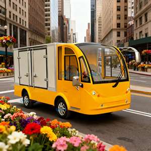 Carrello Elettrico Giallo per Trasporto Urbano a 2 Posti, Grande Capacità, Alta Sicurezza per Trasporto Pubblico Urbano, Fattorie e Resort - Product Image 2