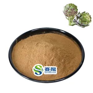 ISO Factory Supply Wholesale Artichoke Leaf Extract Powder Artichoke Acid 2.5% 5% Artichoke Extract