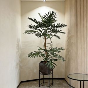 <span class=keywords><strong>ต้น</strong></span>ไม้ปลอมฟิโลเดนดรอนแบบกระถาง ดีไซน์พิเศษจากนิฟลอรัล ขนาด 220 ซม. คุณภาพพรีเมียม เหมาะสำหรับตกแต่งสำนักงาน โรงแรม โชว์รูม - Product Image 6